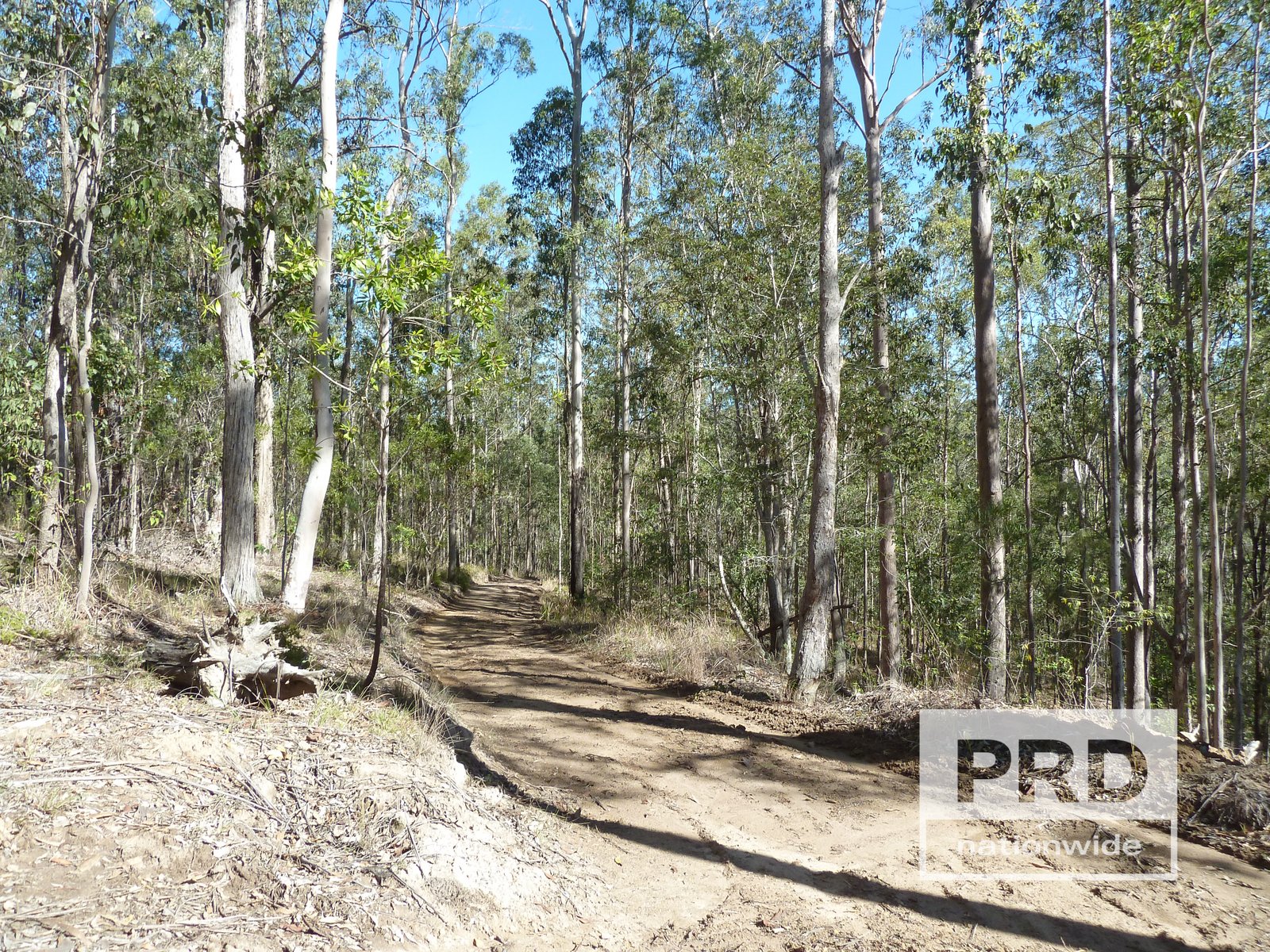 1411 Afterlee Road KYOGLE 6