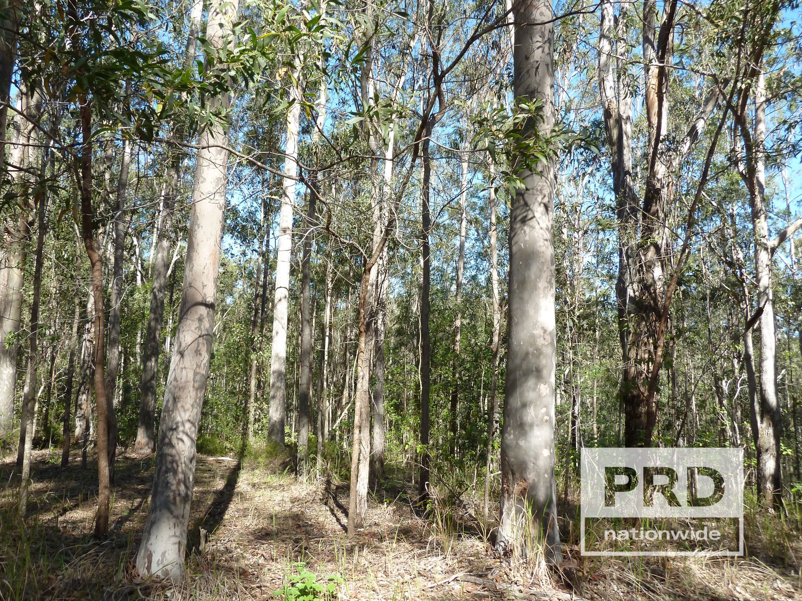 1411 Afterlee Road KYOGLE 7