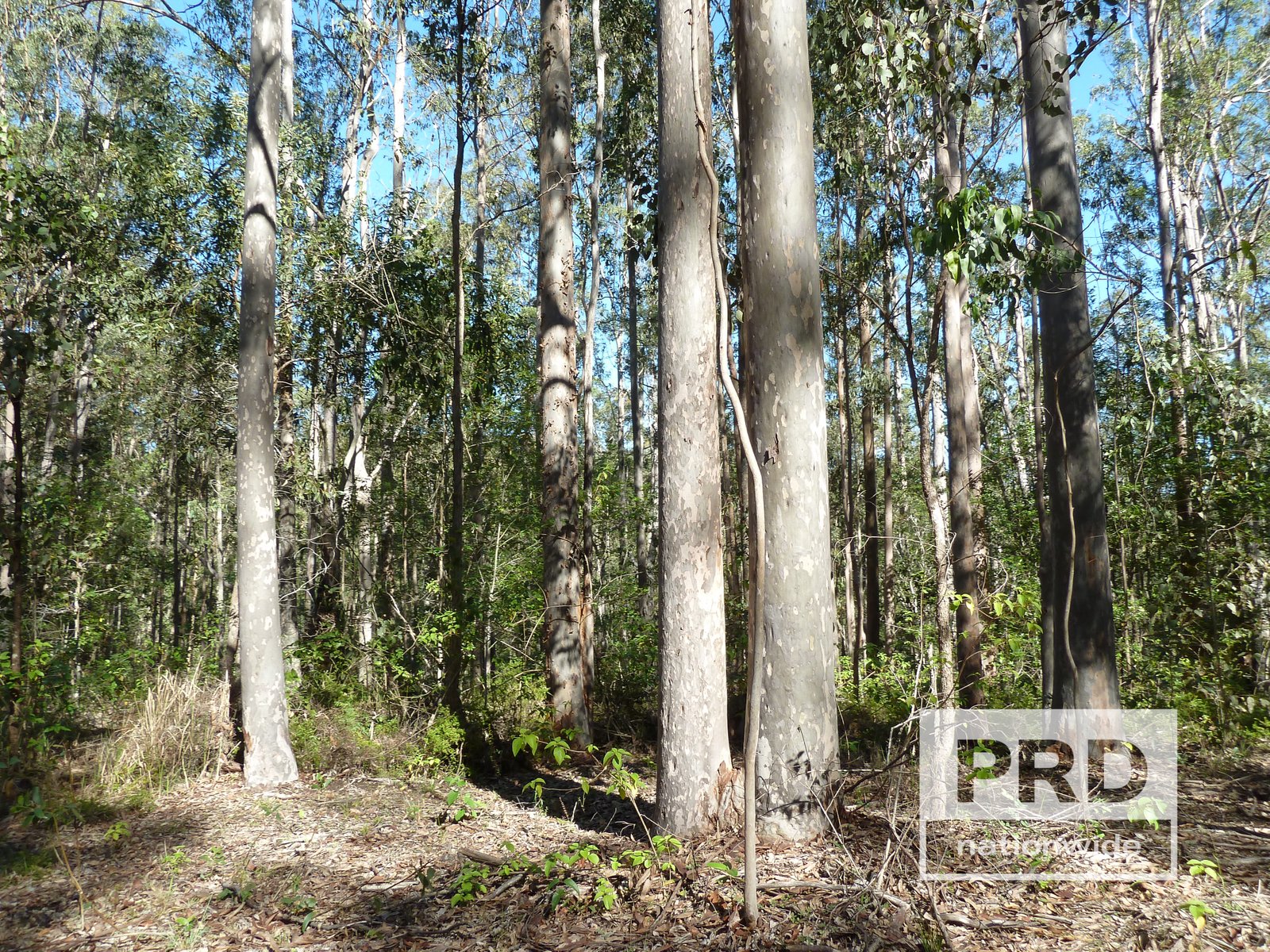 1411 Afterlee Road KYOGLE 8