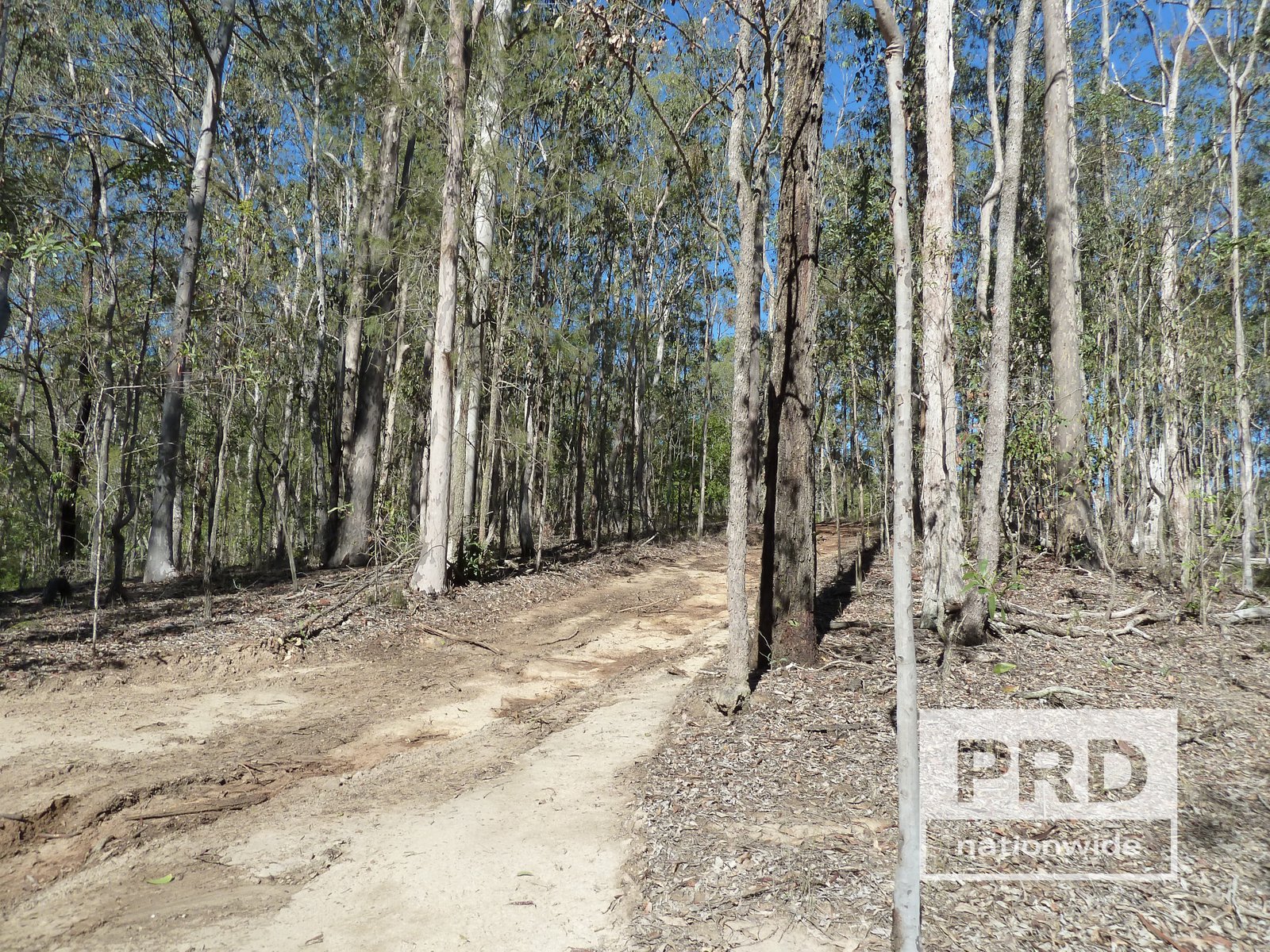 1411 Afterlee Road KYOGLE 10