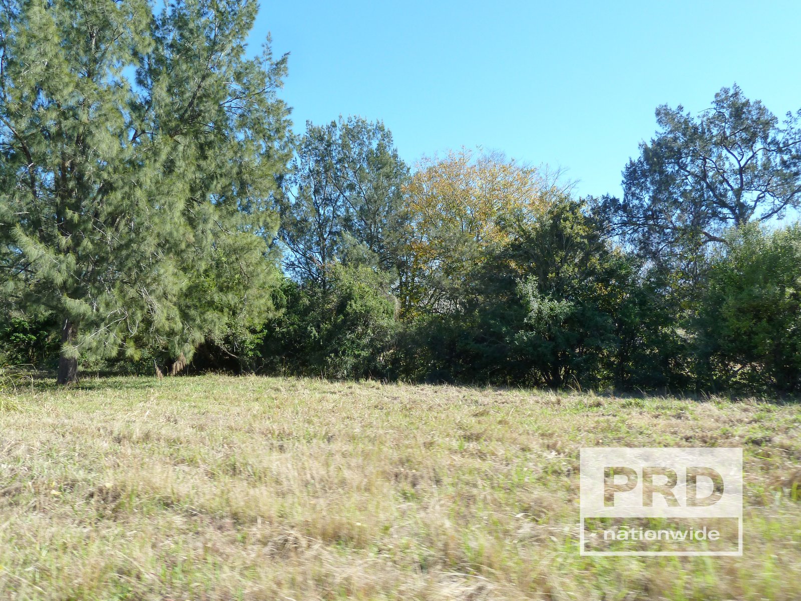 1411 Afterlee Road KYOGLE 15