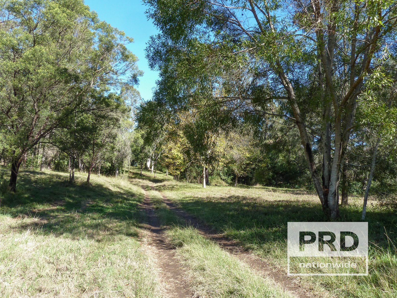 1411 Afterlee Road KYOGLE 16