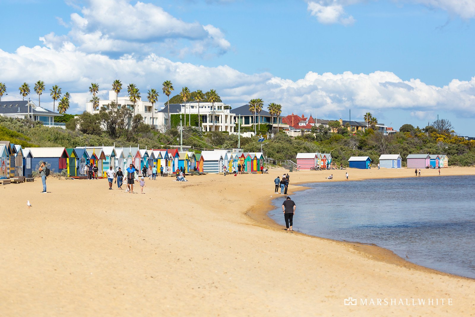 14/123 Dendy Street, Brighton East, VIC