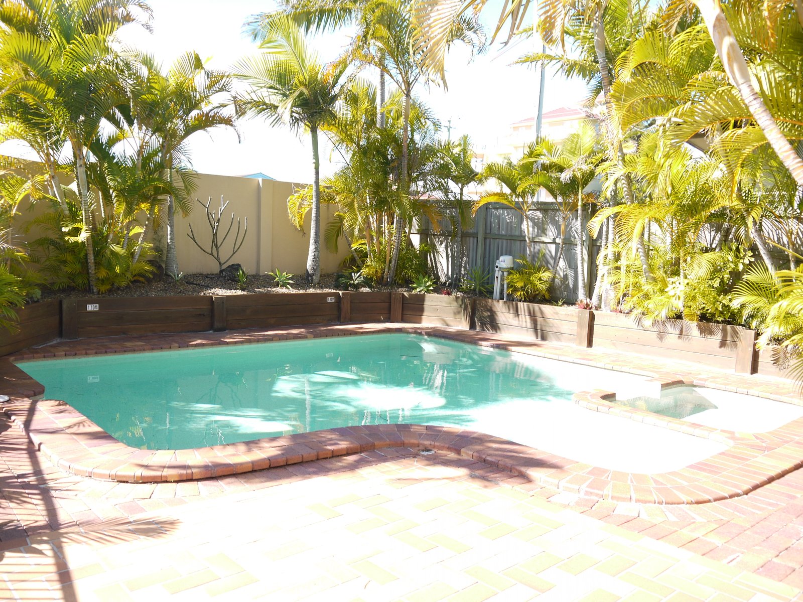 14/1444 Gold Coast Highway PALM BEACH 4
