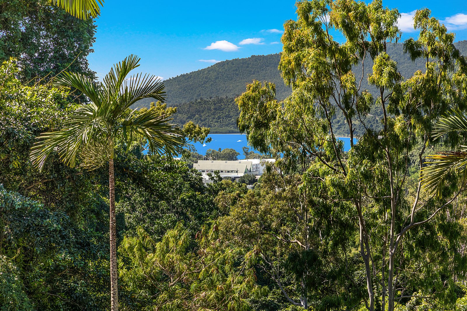 14/15 Flame Tree Court AIRLIE BEACH 5