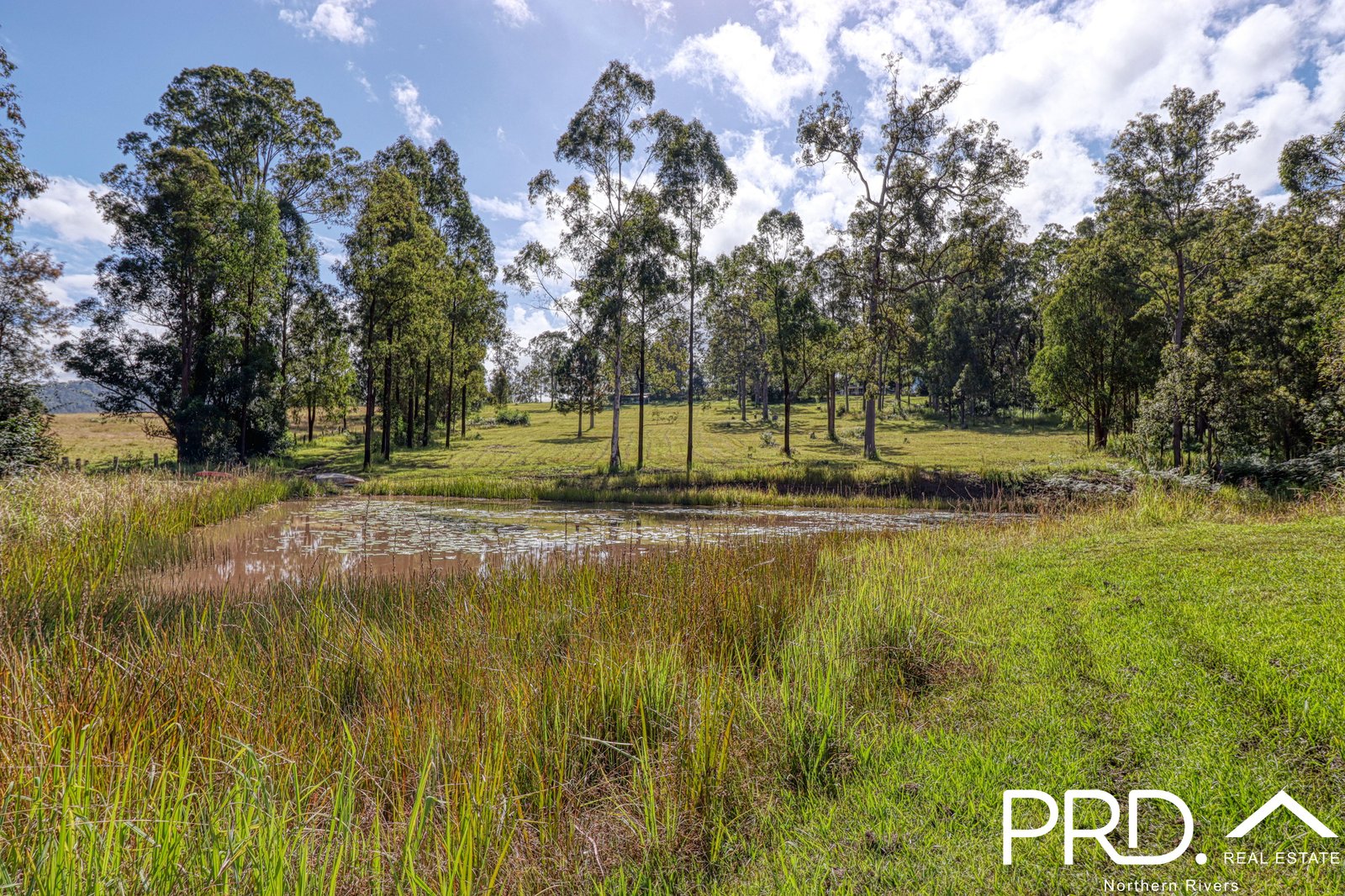 1415 Iron Pot Creek Road GHINNI GHI 23