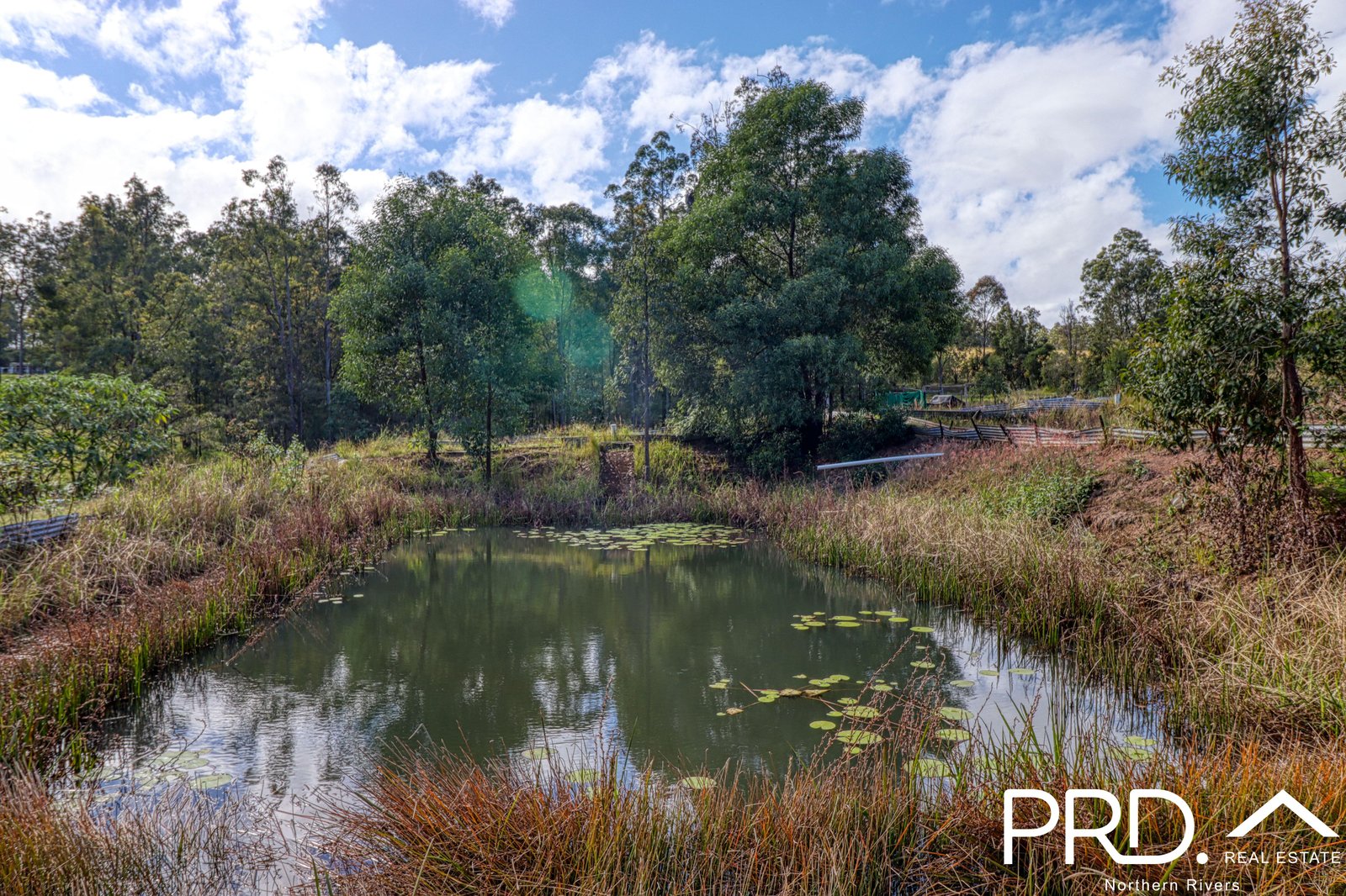 1415 Iron Pot Creek Road GHINNI GHI 24