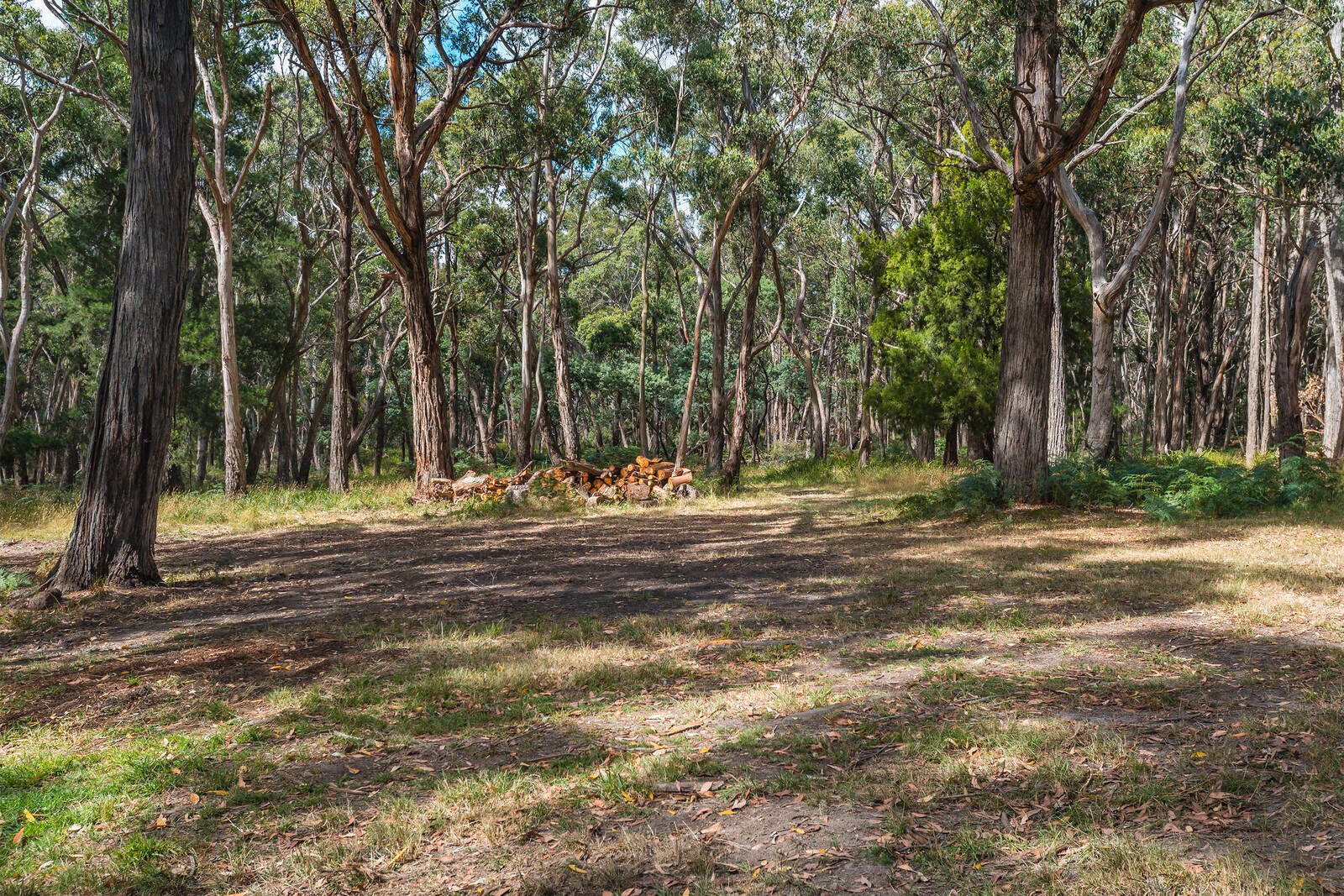 Real Estate and Property in 1418 Romsey Road, Romsey, VIC