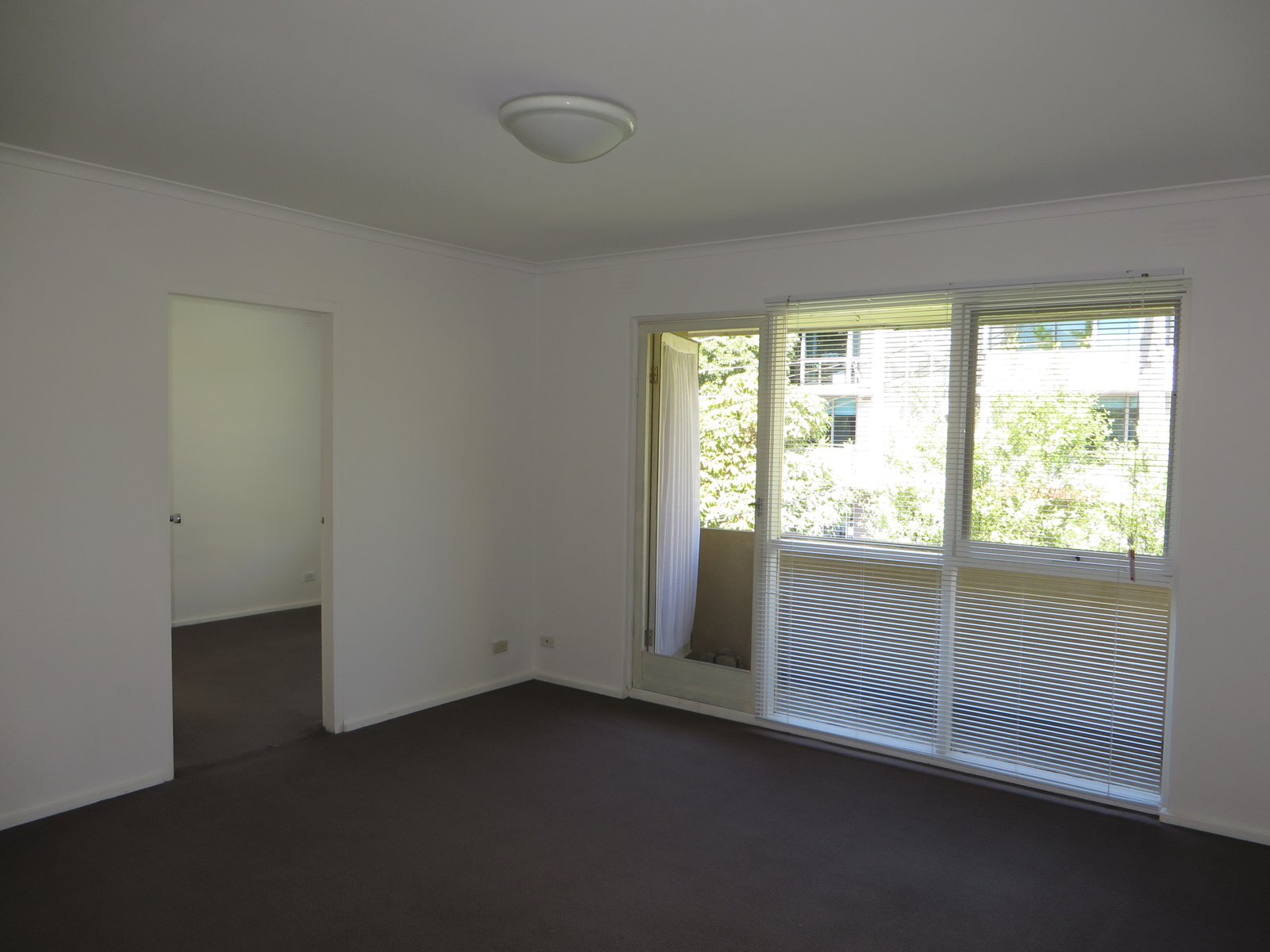 Gallery: 14/19 Abbott Street