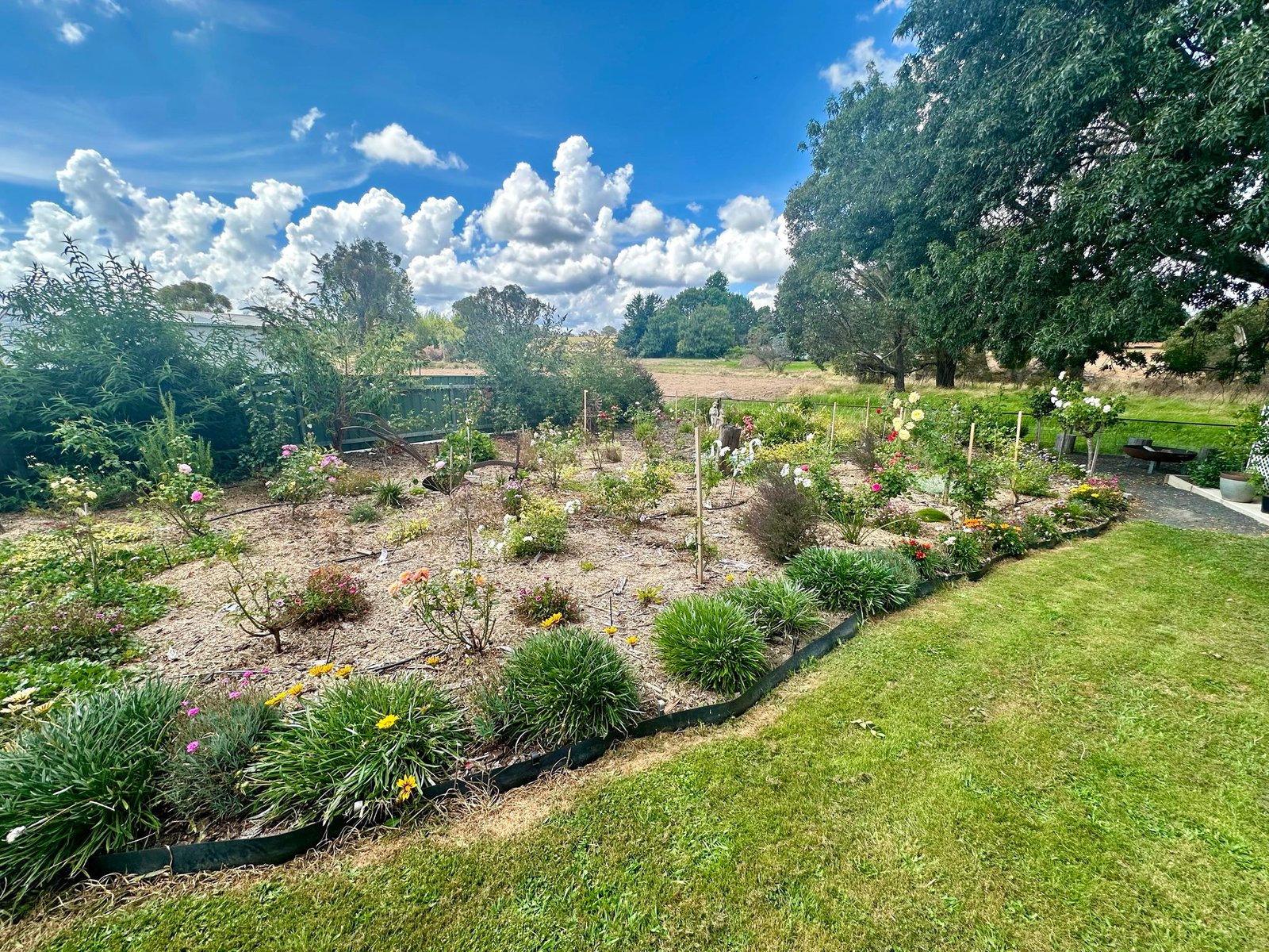 142 Albury St  TUMBARUMBA 10