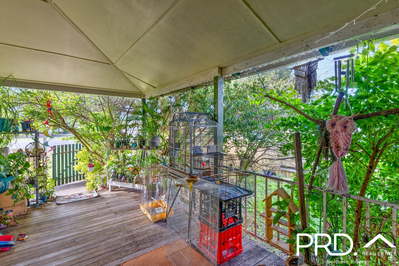 142 Centre Street CASINO 11