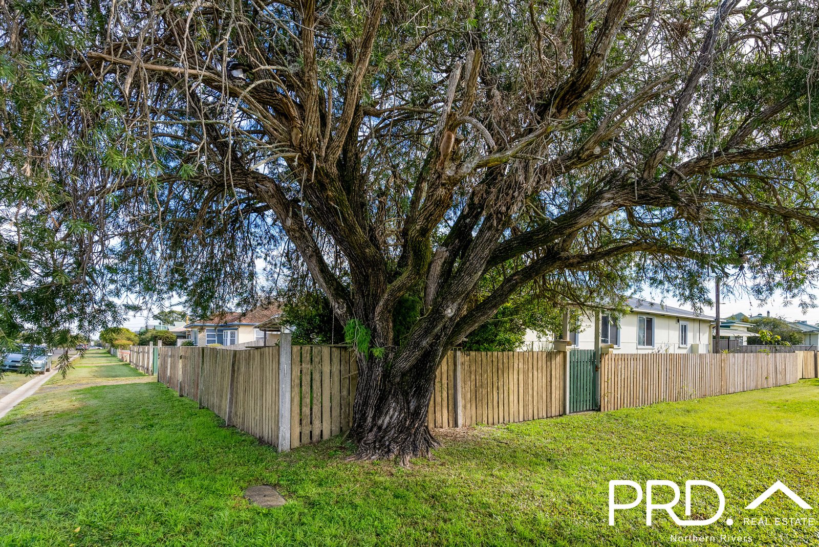 142 Centre Street CASINO 17