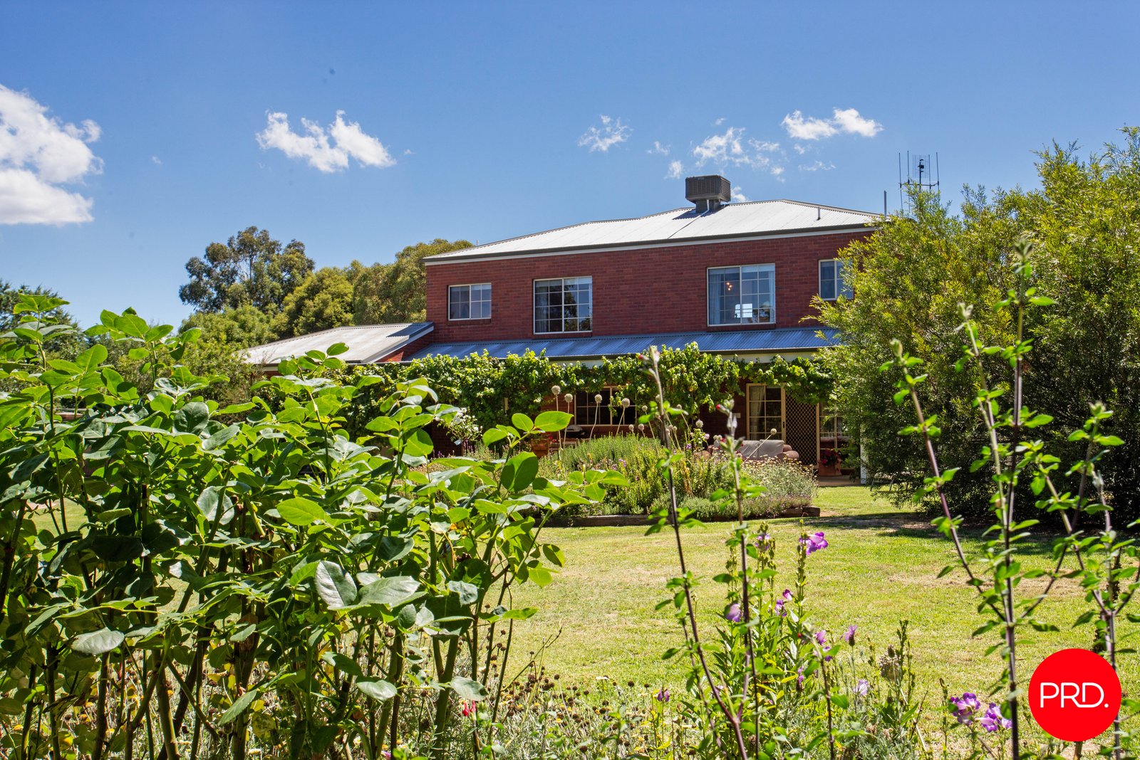 142 Richards Road CASTLEMAINE 23