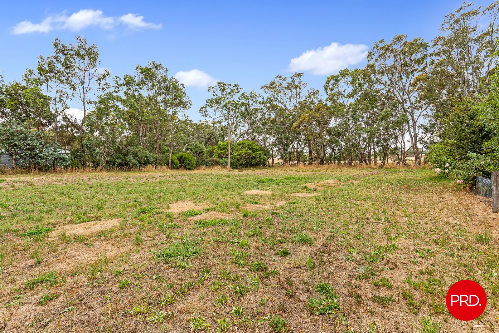 1431 Bendigo-Sutton Grange Road SUTTON GRANGE 4