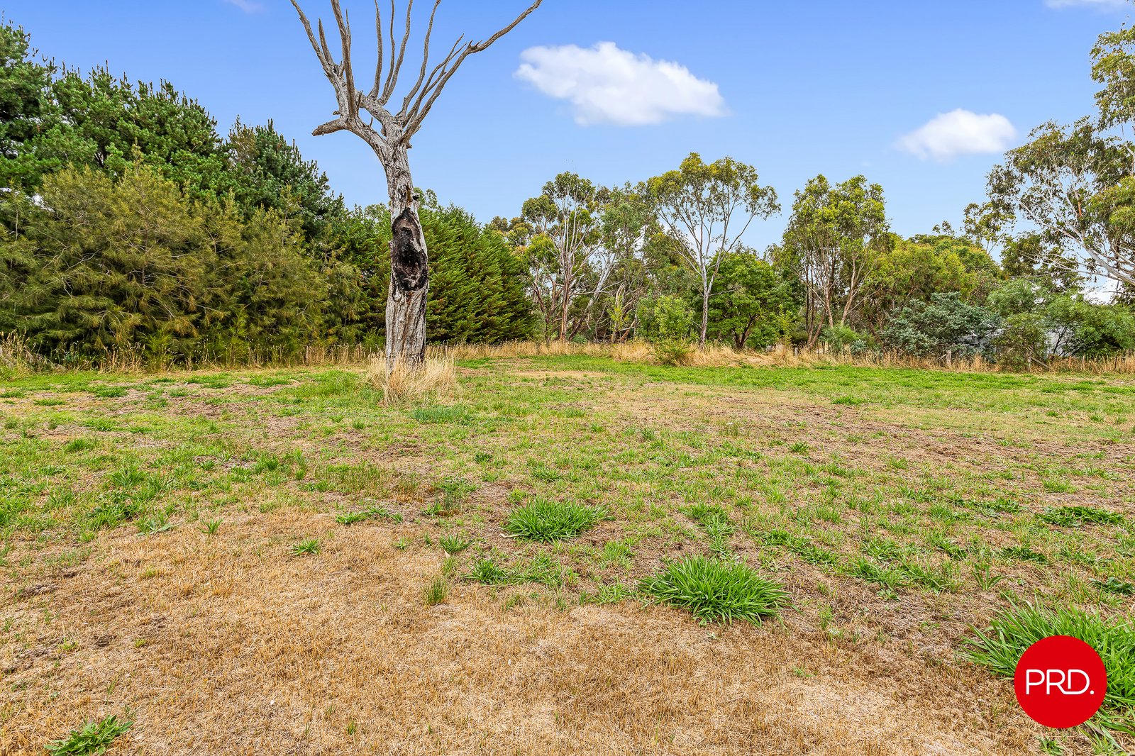 1431 Bendigo-Sutton Grange Road SUTTON GRANGE 5