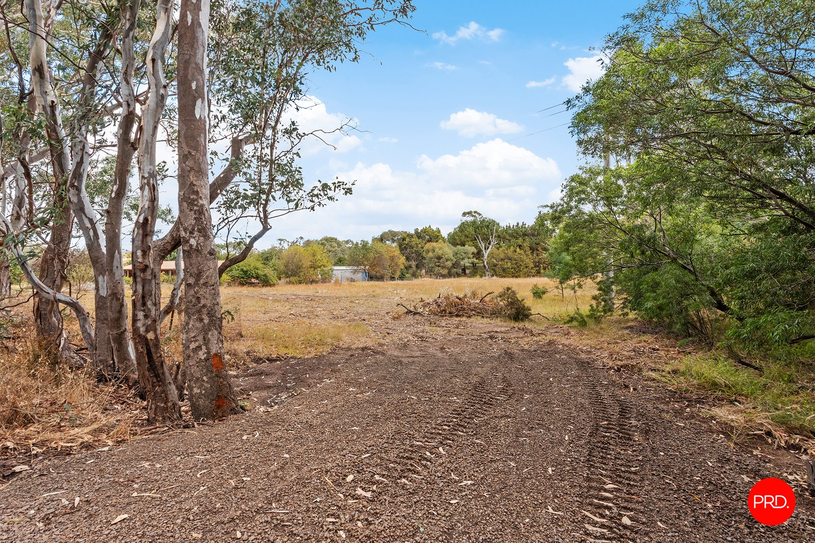 1431 Bendigo-Sutton Grange Road SUTTON GRANGE 8