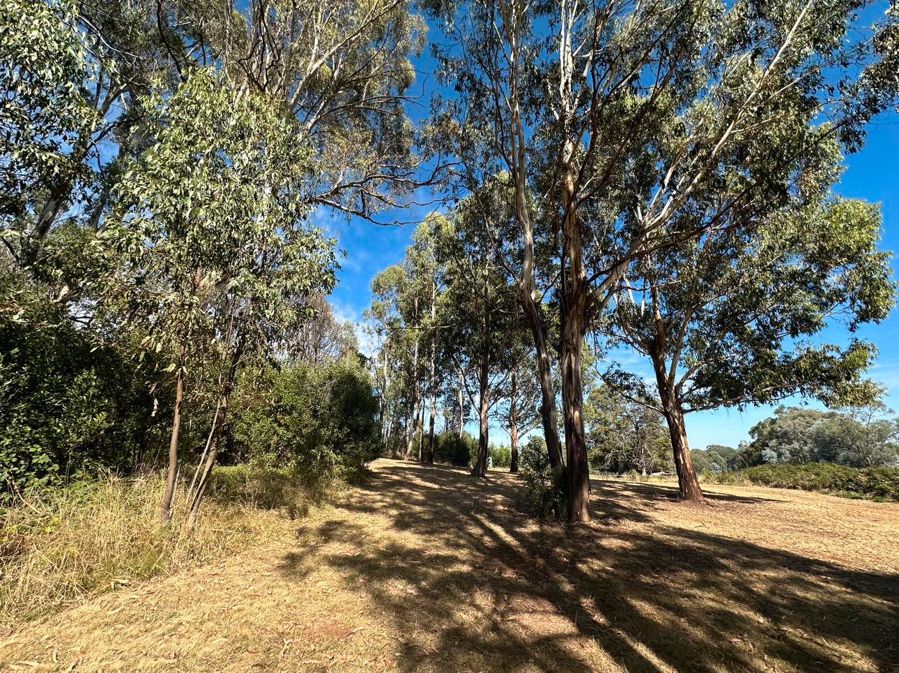 1438 Batlow Road TUMBARUMBA 3