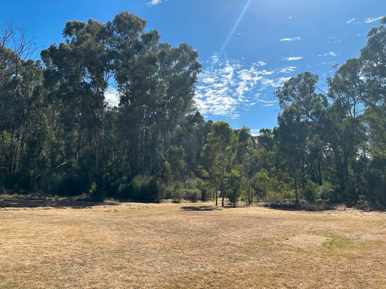 1438 Batlow Road TUMBARUMBA 6