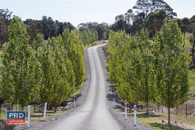 144 Doust Road BYWONG 26