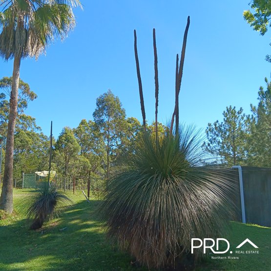 144 Link Road WADEVILLE 22