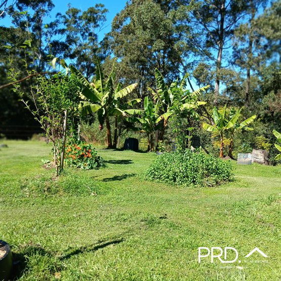 144 Link Road WADEVILLE 26