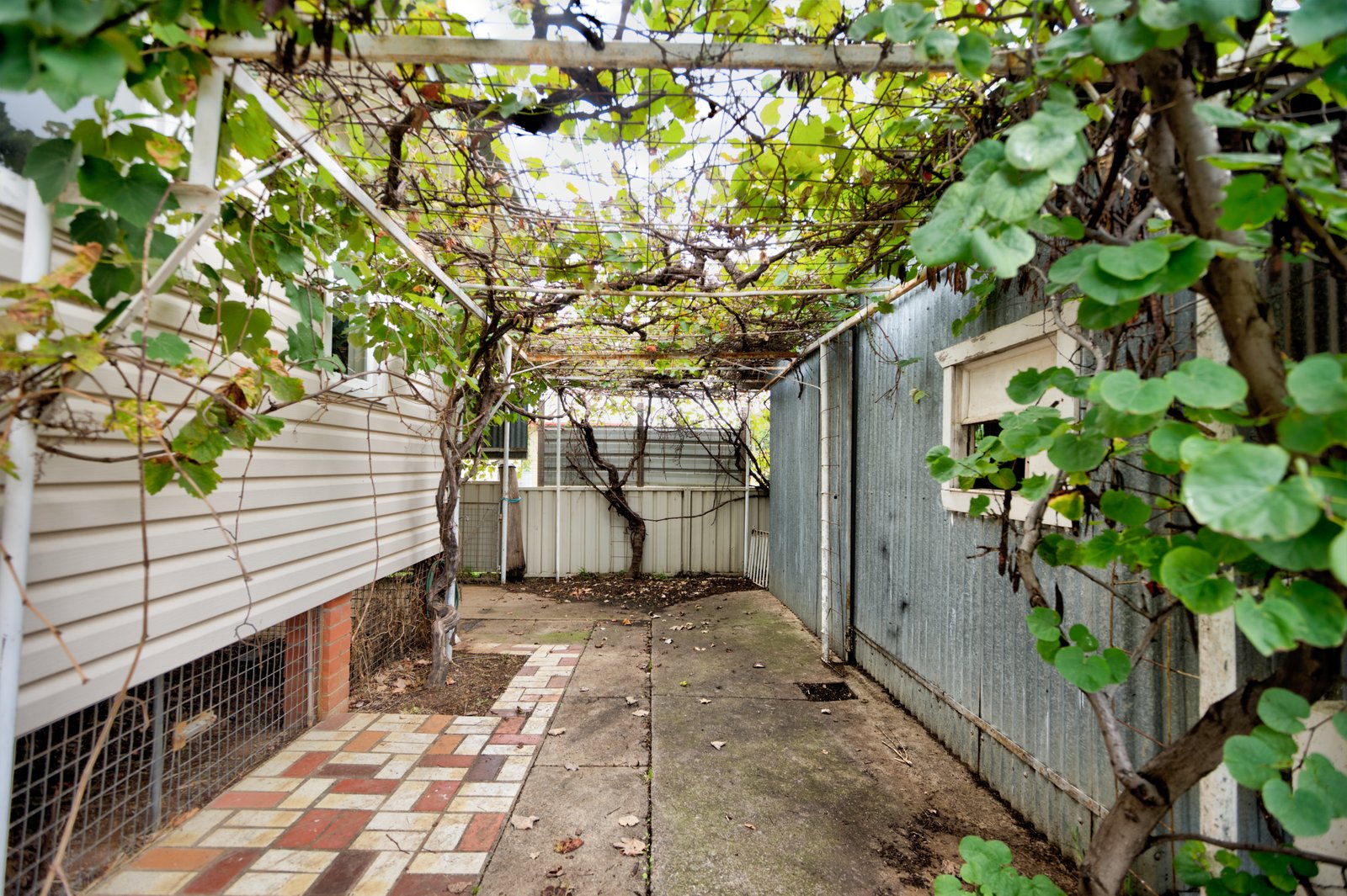 144 Robert Street TAMWORTH 6