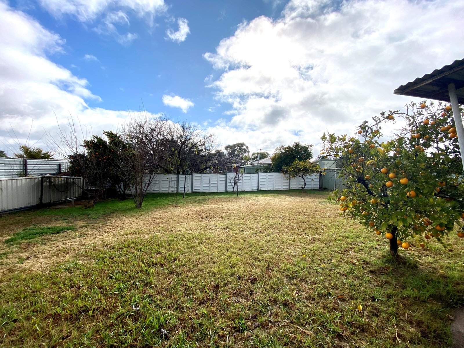 144 Robert Street TAMWORTH 14