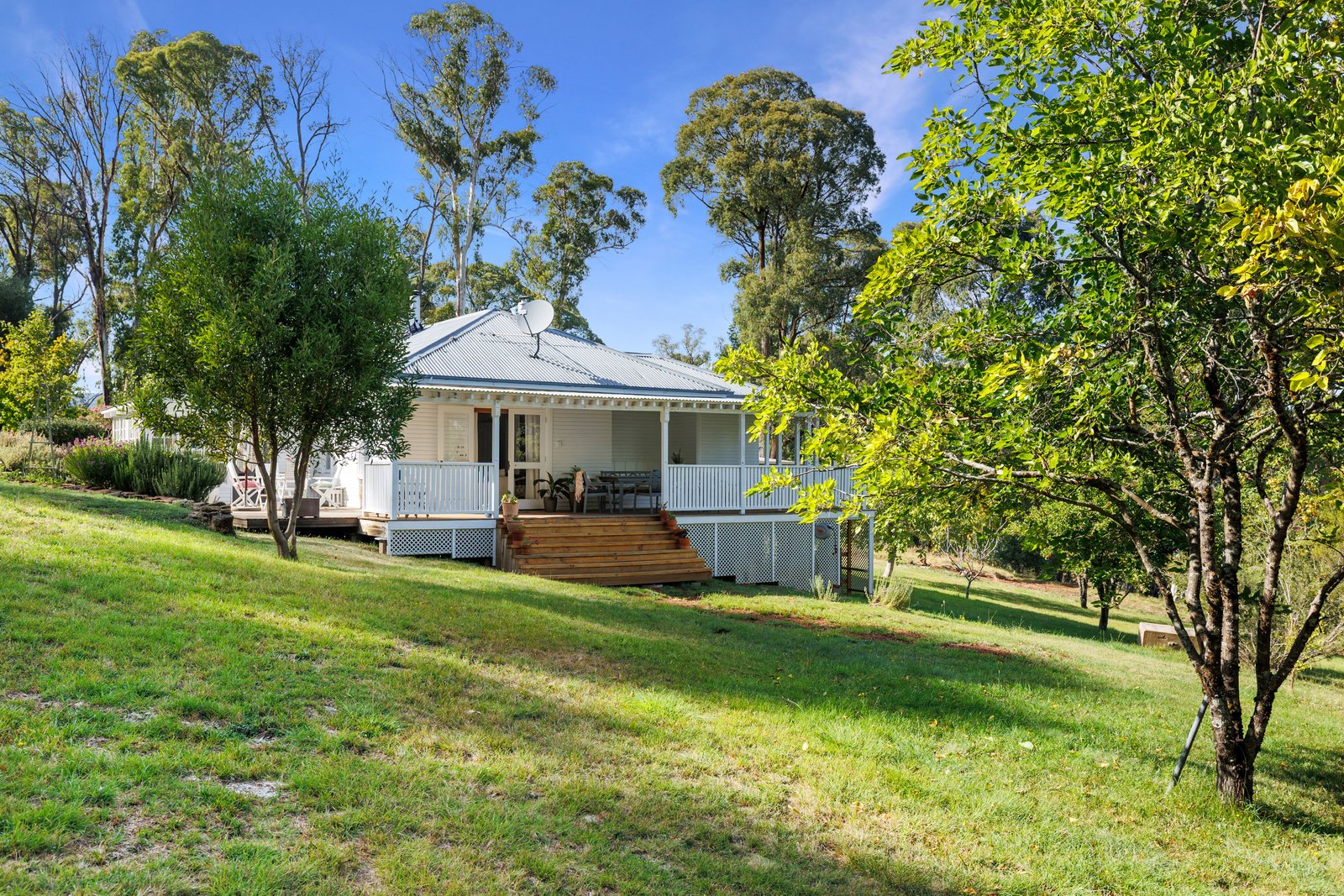 1440 Batlow Road TUMBARUMBA 19