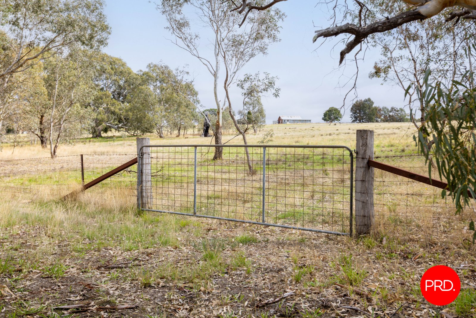 1445 Bendigo-Sutton Grange Road SUTTON GRANGE 6