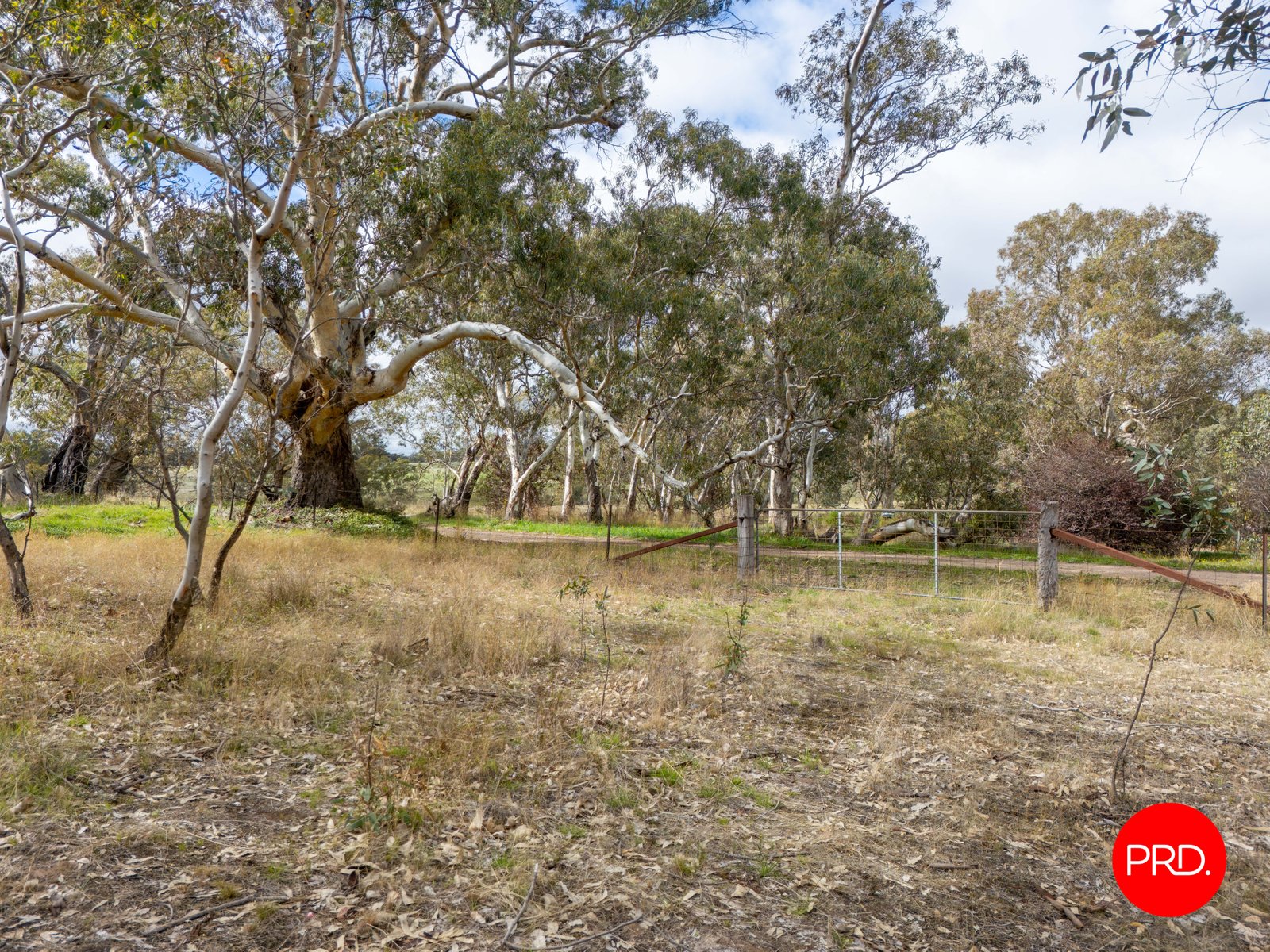 1445 Bendigo-Sutton Grange Road SUTTON GRANGE 7