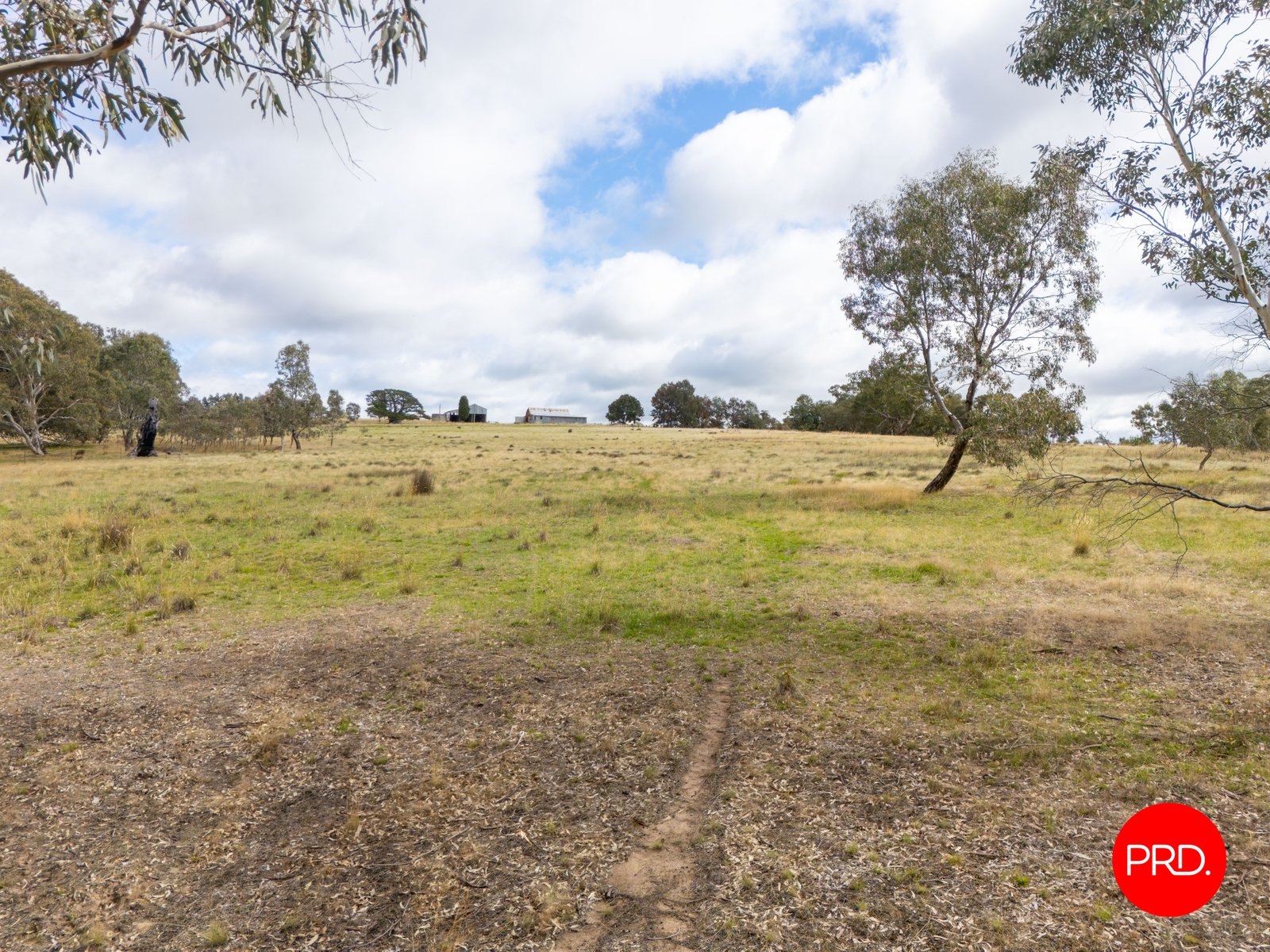 1445 Bendigo-Sutton Grange Road SUTTON GRANGE 8