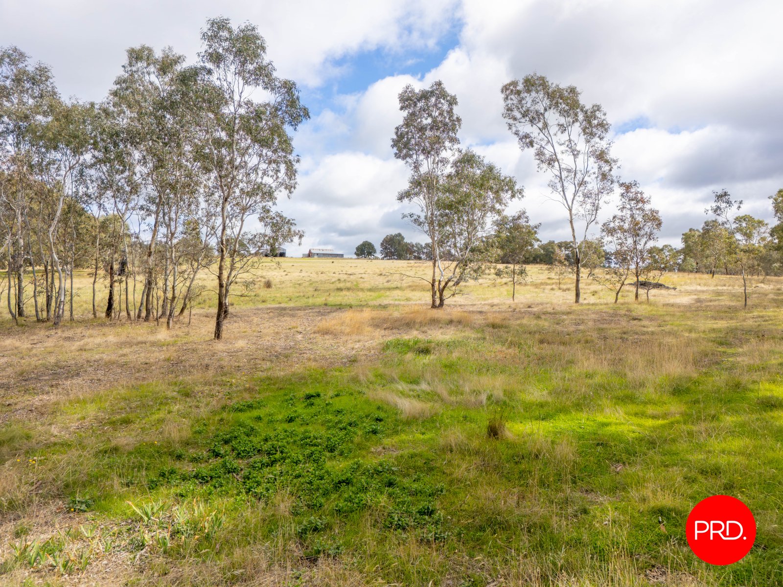 1445 Bendigo-Sutton Grange Road SUTTON GRANGE 9