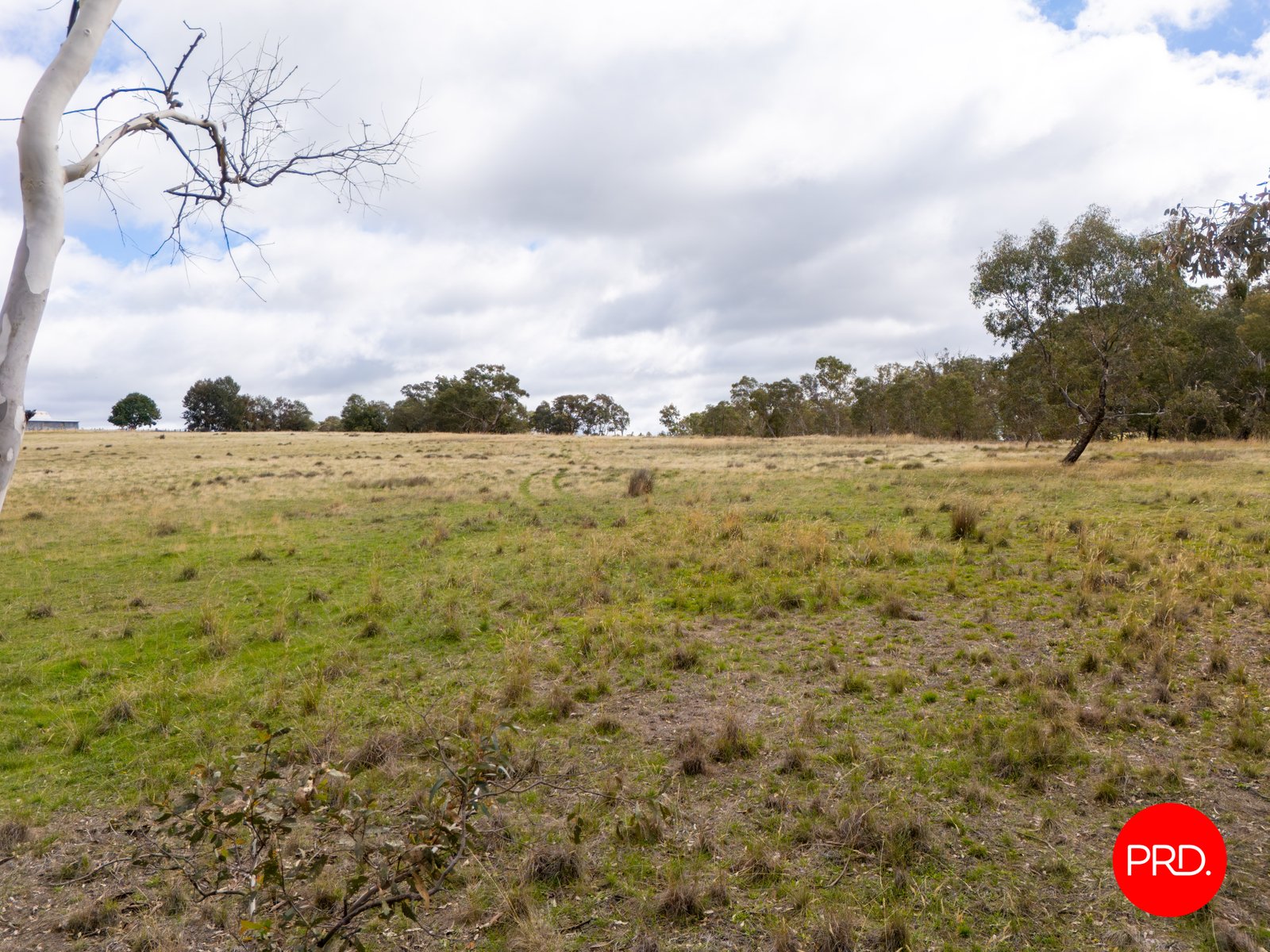 1445 Bendigo-Sutton Grange Road SUTTON GRANGE 10