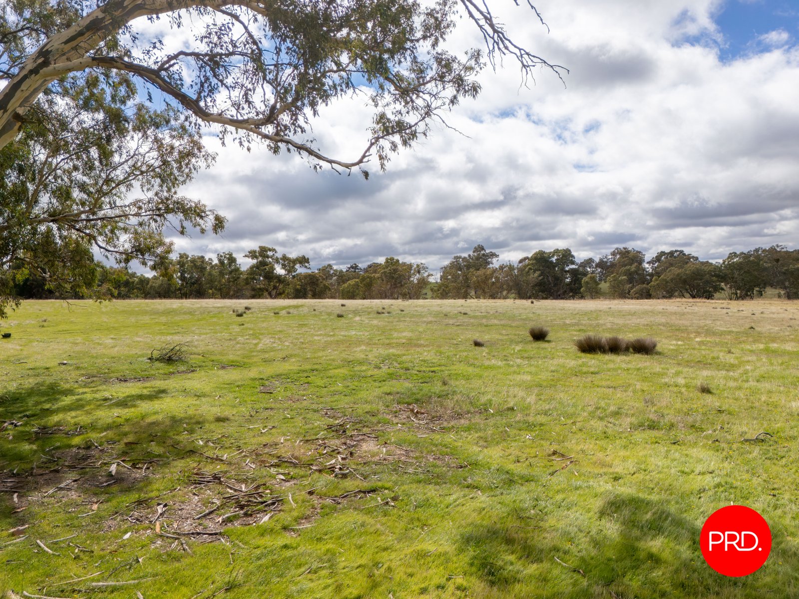 1445 Bendigo-Sutton Grange Road SUTTON GRANGE 11