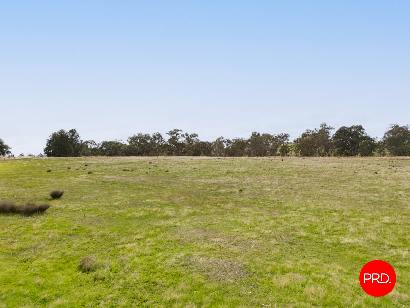 1445 Bendigo-Sutton Grange Road SUTTON GRANGE 12