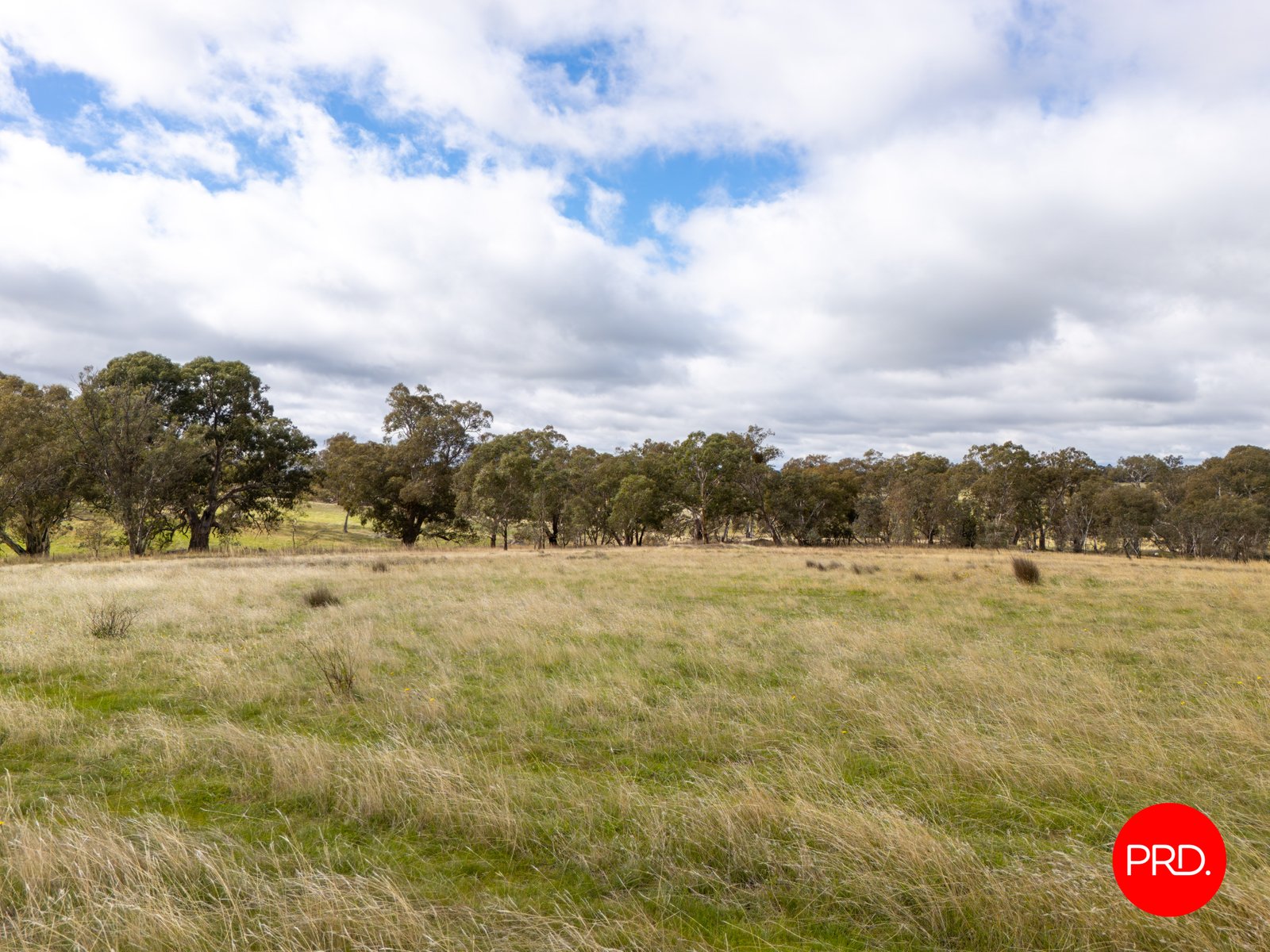 1445 Bendigo-Sutton Grange Road SUTTON GRANGE 13