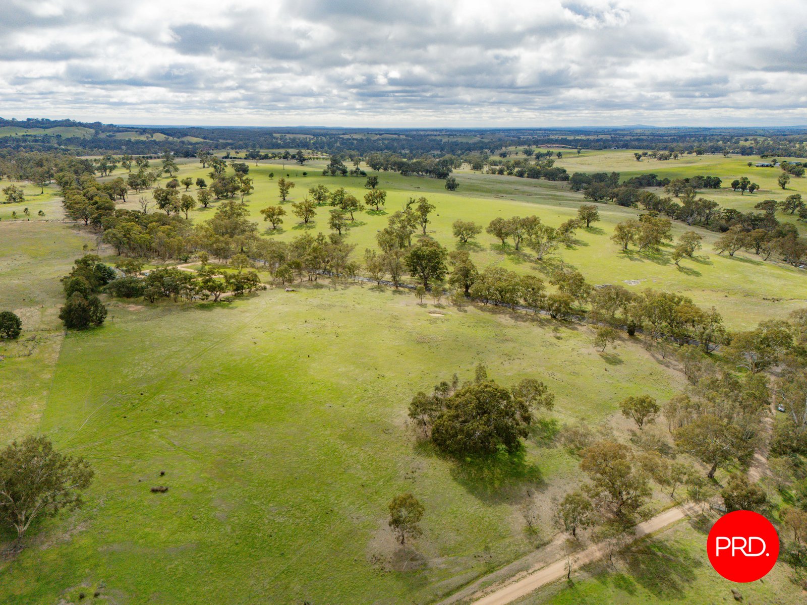 1445 Bendigo-Sutton Grange Road SUTTON GRANGE 17