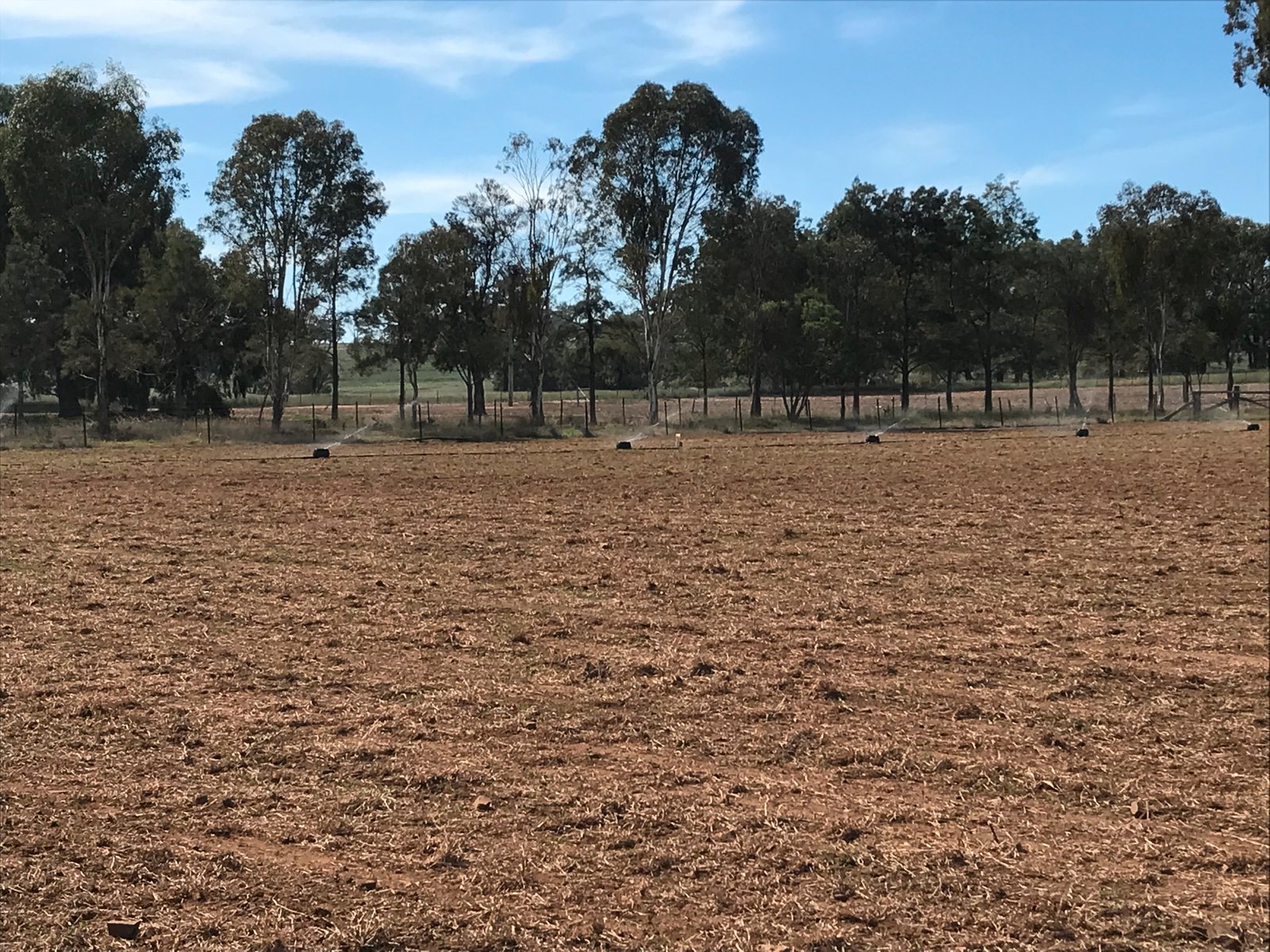 145-151 Depot Road MERRIWA 22