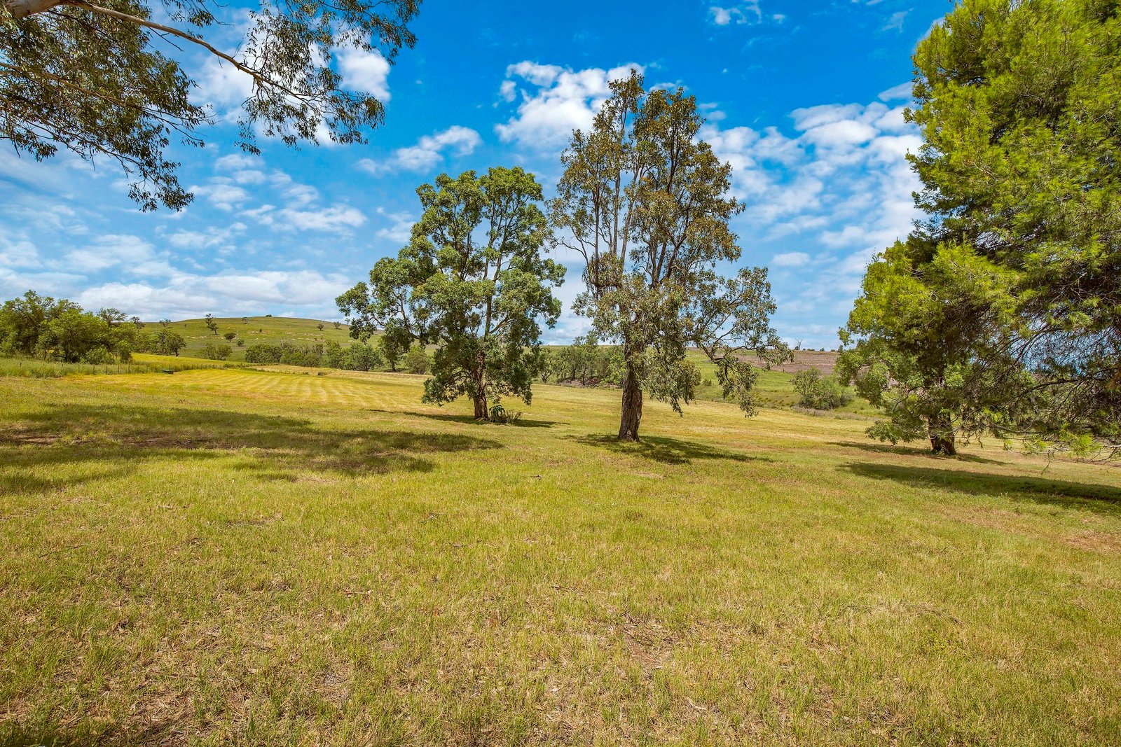 145-151 Depot Road MERRIWA 23