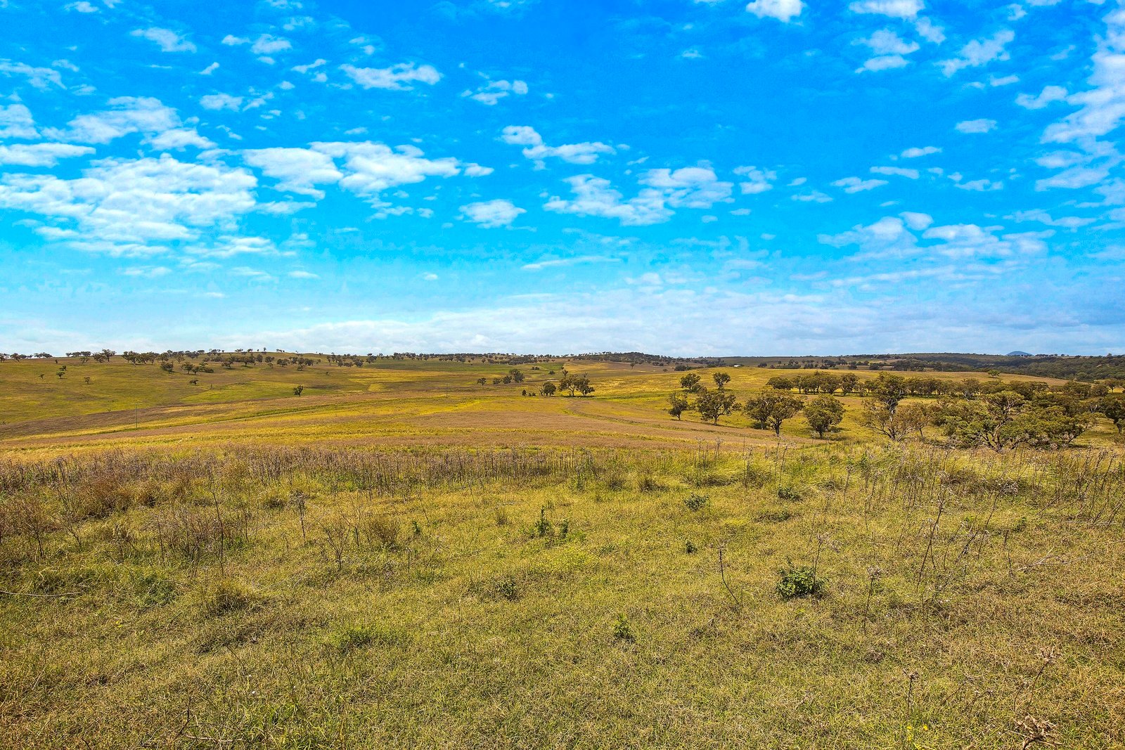 145-151 Depot Road MERRIWA 27