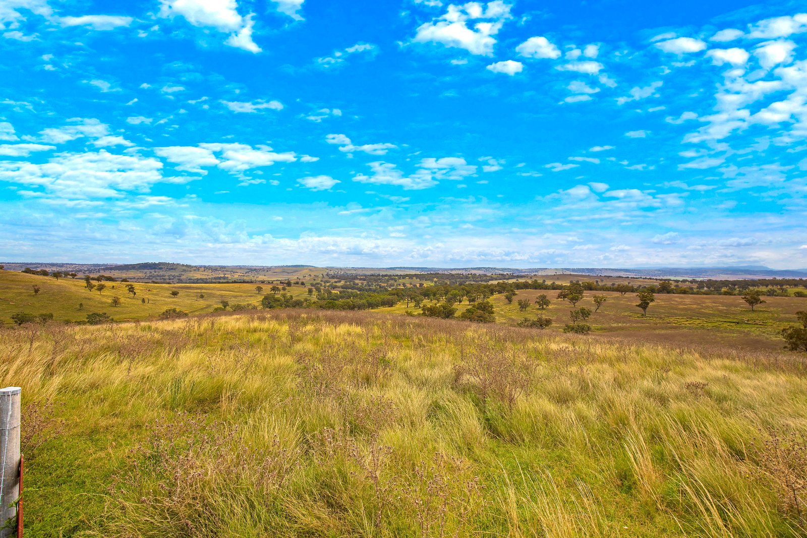 145-151 Depot Road MERRIWA 28