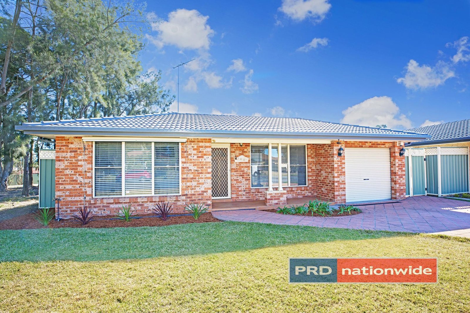 146 Andromeda Drive CRANEBROOK 1
