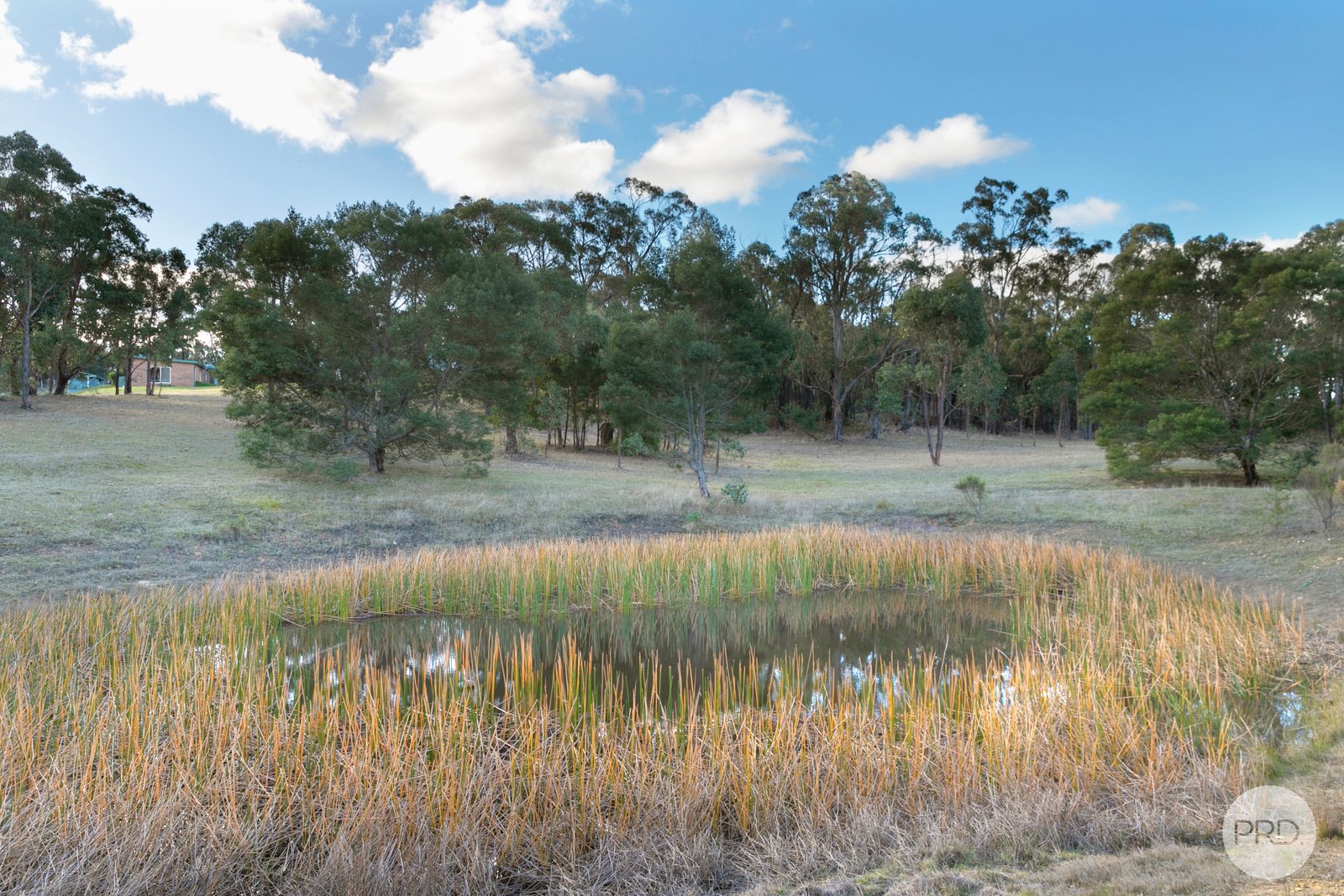 146 Courts Road CLARENDON 20