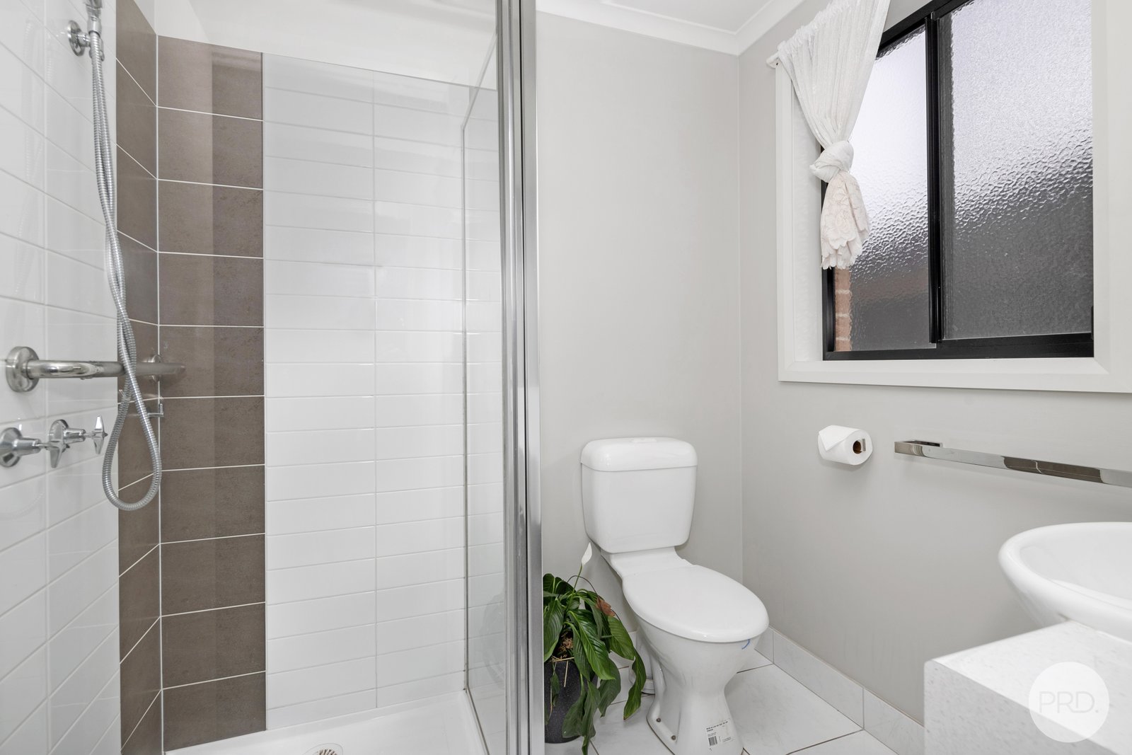 146 Edwards Street SEBASTOPOL 7