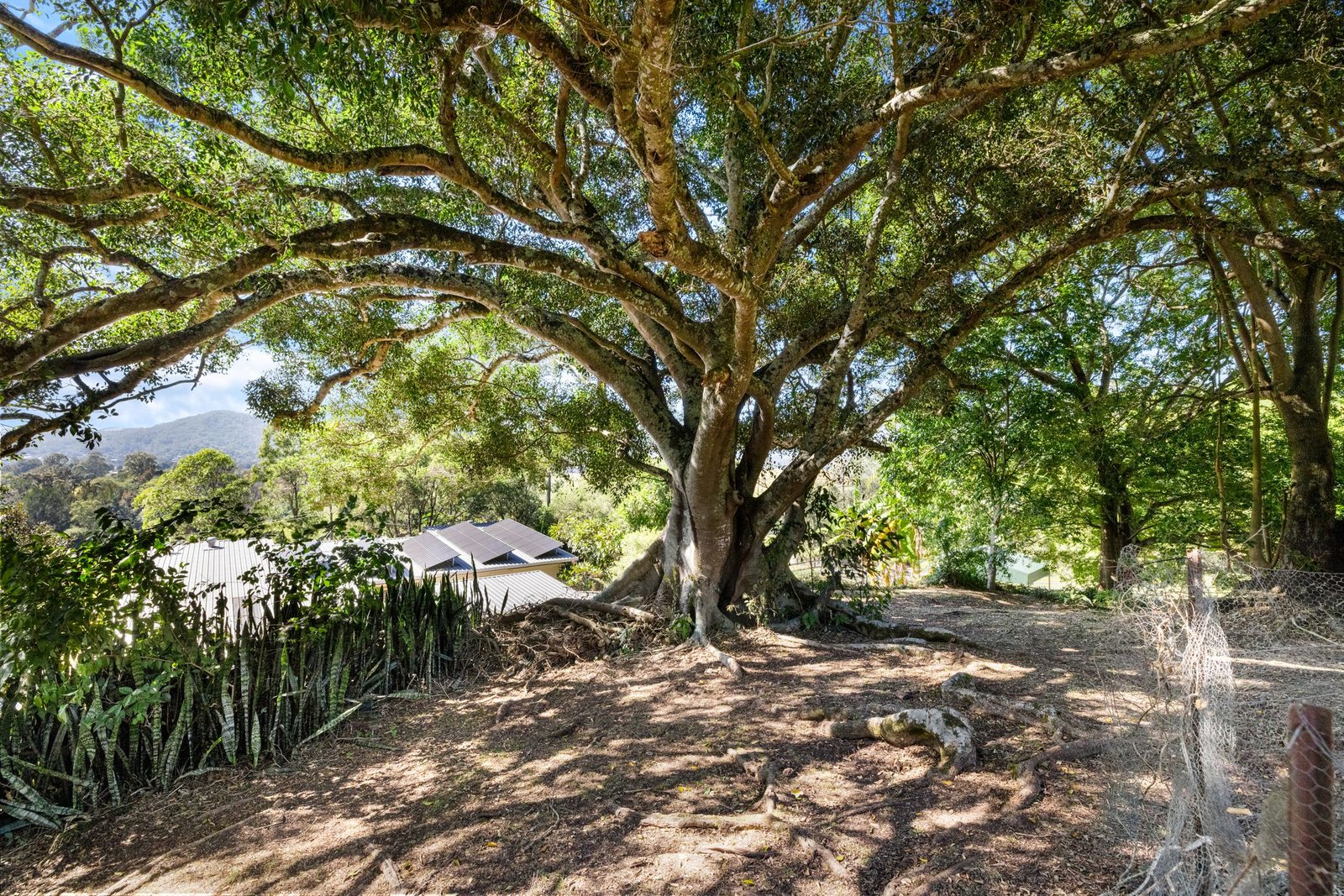 146 Omagh Road KYOGLE 19