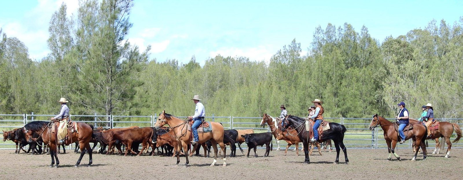 1461 New England Highway HARPERS HILL 2