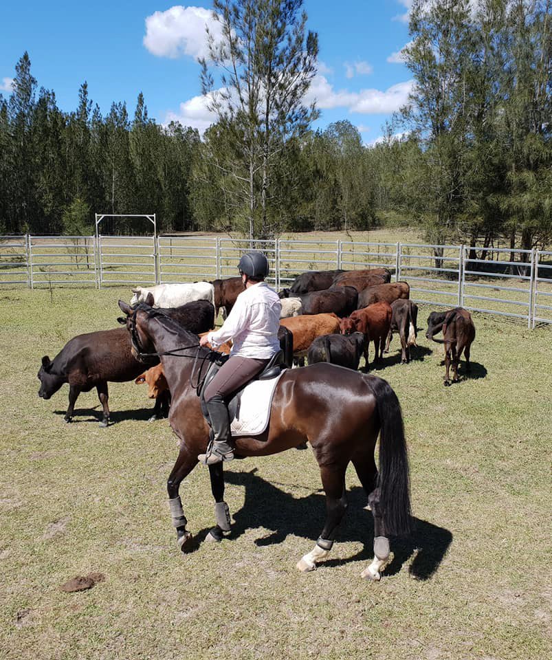 1461 New England Highway HARPERS HILL 23