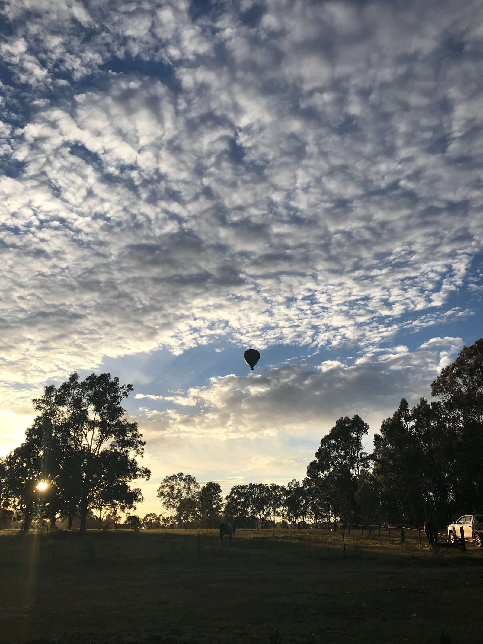 1461 New England Highway HARPERS HILL 24