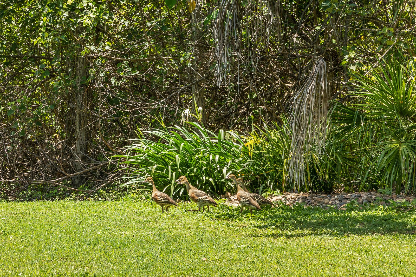 1464/615 Kunapipi Road LAGUNA QUAYS 15