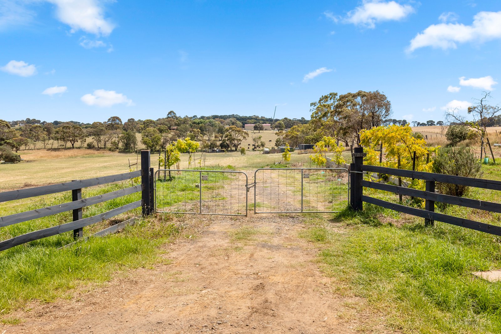 Real Estate and Property in 147-159 Whitcombes Road, Drysdale, VIC
